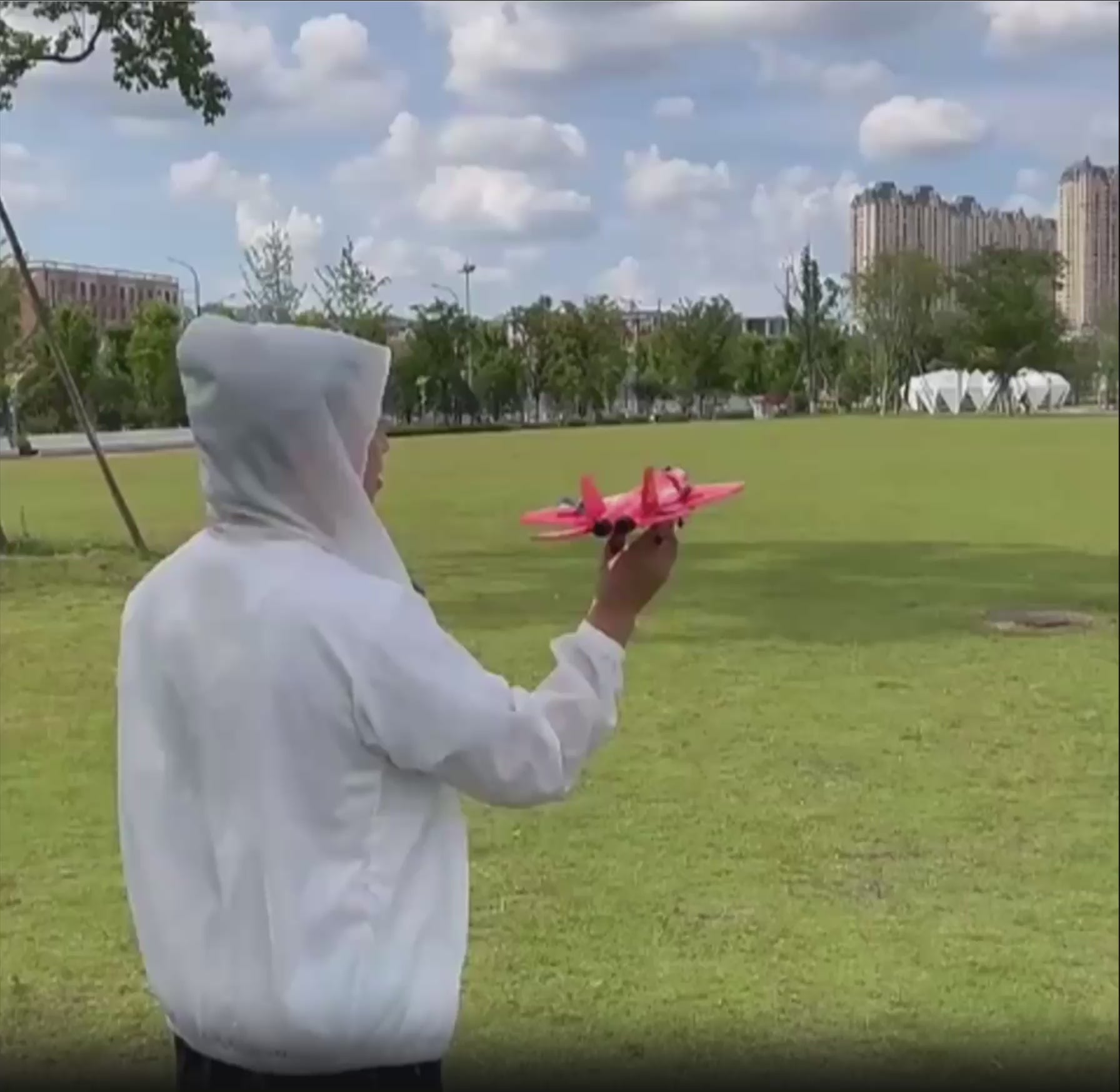 Avion RC Double Moteur SU-35